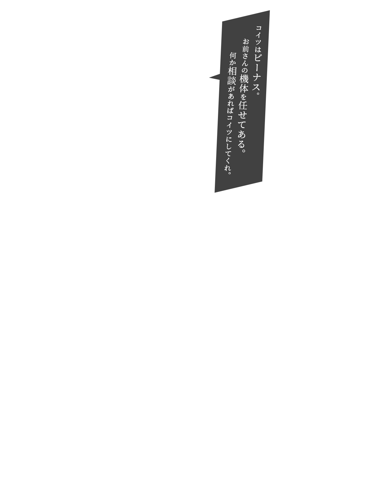 コイツはビーナス。お前さんの機体を任せてある。何か相談があればコイツにしてくれ。